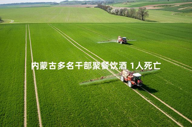 内蒙古多名干部聚餐饮酒 1人死亡